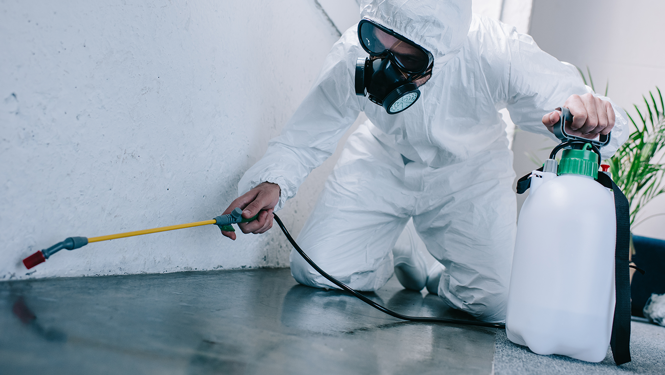 Profissional aplicando produto com EPI